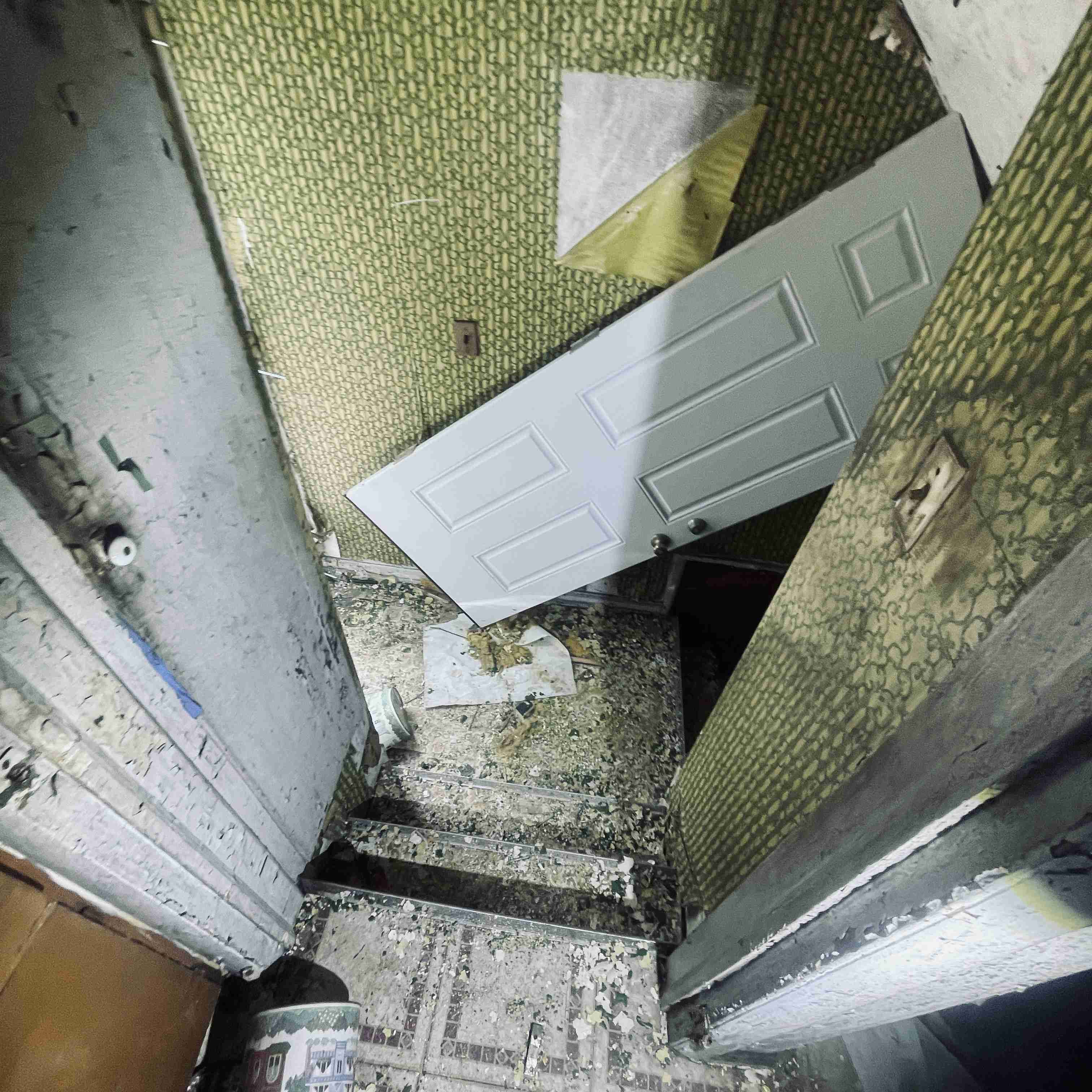 4277 TUXEDO (58).jpg